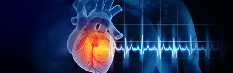 <h1 class='entry-title h2-style'>Autocuidado y medidas de prevención para el paciente con insuficiencia cardíaca</h1><div id='b' style='margin-bottom: 10px;'> <span class='sb'><br><strong>Daniel Grados Saso, Ana María Martínez Royo, Patricia Irigaray Sierra, Christian Alejandro Castillo Flores y Gloria Romero Hervás</strong></span></b>