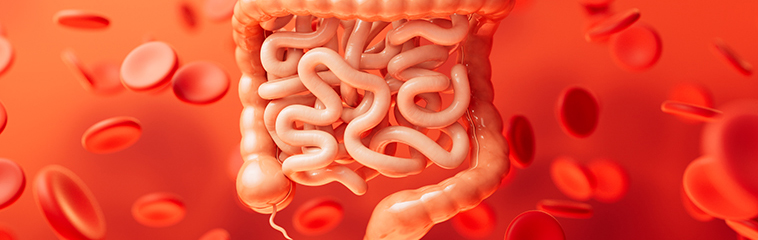 <h1 class='entry-title h2-style'>Digestión y absorción de nutrientes</h1><div id='b' style='margin-bottom: 10px;'> <span class='sb'><br><strong>Lidia Olivar Gómez, Wendy Valeria González Sacoto, Macarena Lacarta Benítez, Carlos Moreno Gálvez, Ana Ros Anadón. </strong></span></b> <h1 class='entry-title h2-style'>Digestión y absorción de nutrientes</h1><div id='b' style='margin-bottom: 10px;'> <span class='sb'><br><strong>Lidia Olivar Gómez, Wendy Valeria González Sacoto, Macarena Lacarta Benítez, Carlos Moreno Gálvez, Ana Ros Anadón. </strong></span></b>