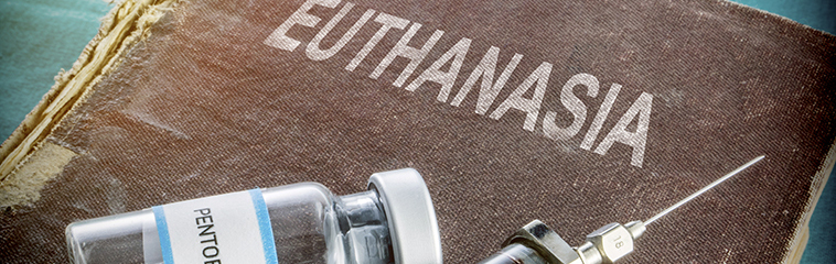 <h1 class='entry-title h2-style'>Objeción de conciencia del profesional sanitario en relación al proceso de eutanasia</h1><div id='b' style='margin-bottom: 10px;'> <span class='sb'><br><strong>Ana Lorés Puértolas, Laura Larramona Escario, Rebeca Marban Fernández, María Vanesca Zamora Sierra, Isabel Viñuales Laviña, Lucía Orduna del Amo</strong></span></b>